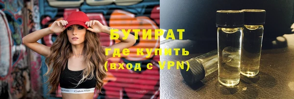 прущие грибы Корсаков