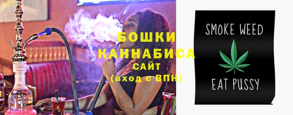 прущие грибы Корсаков