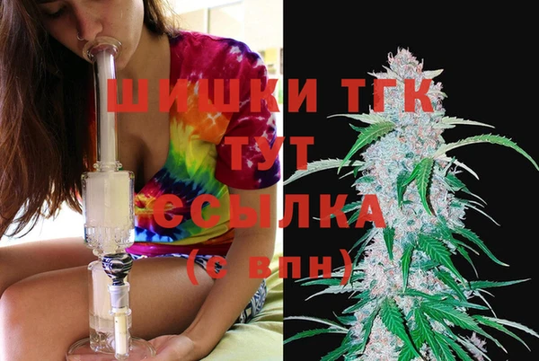 прущие грибы Корсаков