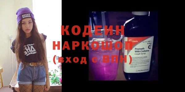 дмт Костерёво