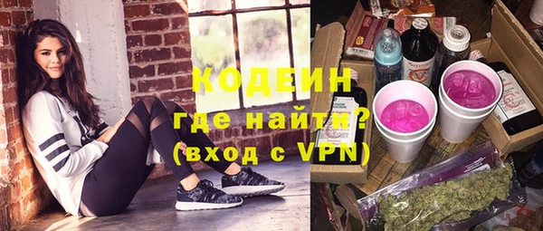 прущие грибы Корсаков