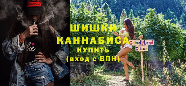 прущие грибы Корсаков