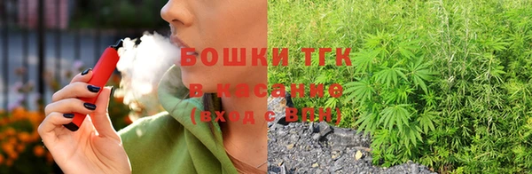 прущие грибы Корсаков