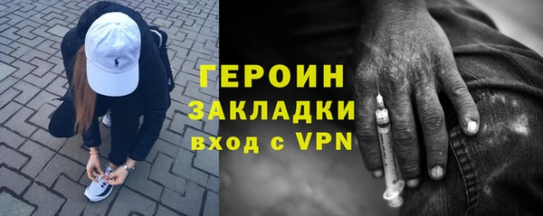 прущие грибы Корсаков
