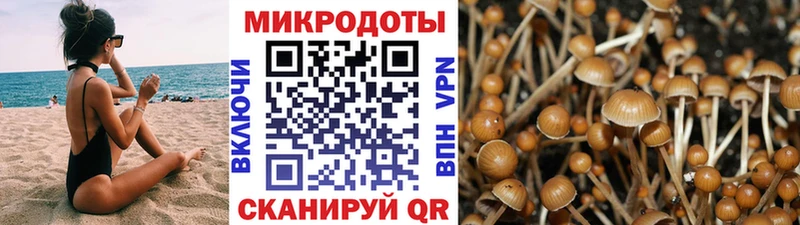 Купить где  Велиж  Галлюциногенные грибы Magic Shrooms 